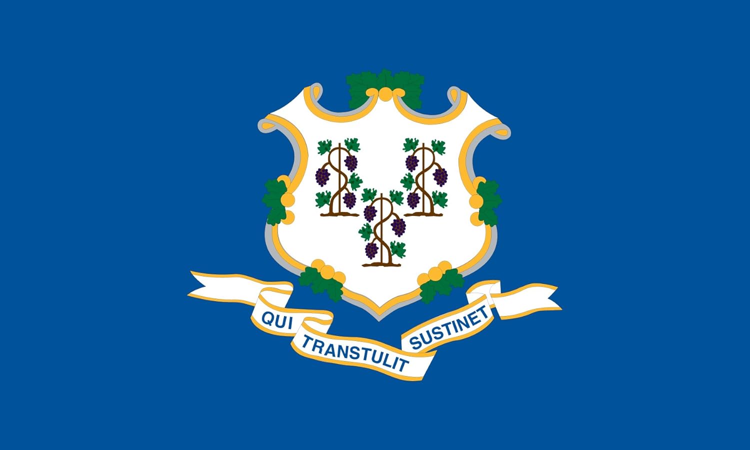 heath outdoor products 23060 2 英尺 乘以 3 英尺康涅狄格州旗